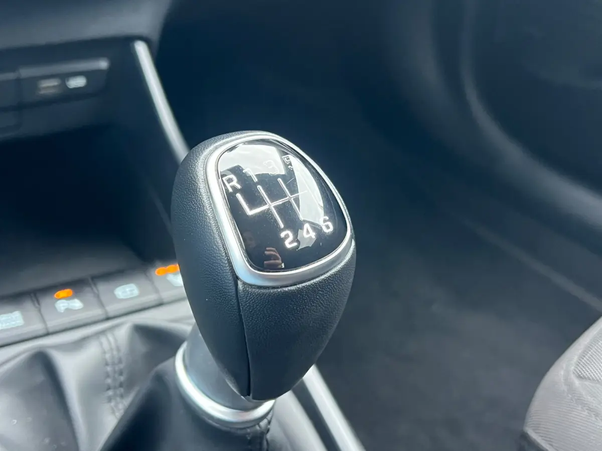 1.0 T-GDI Premium | Stoel & Stuurverwarming | Bose | Blind-spot | Camera | Cruise Control | DAB+