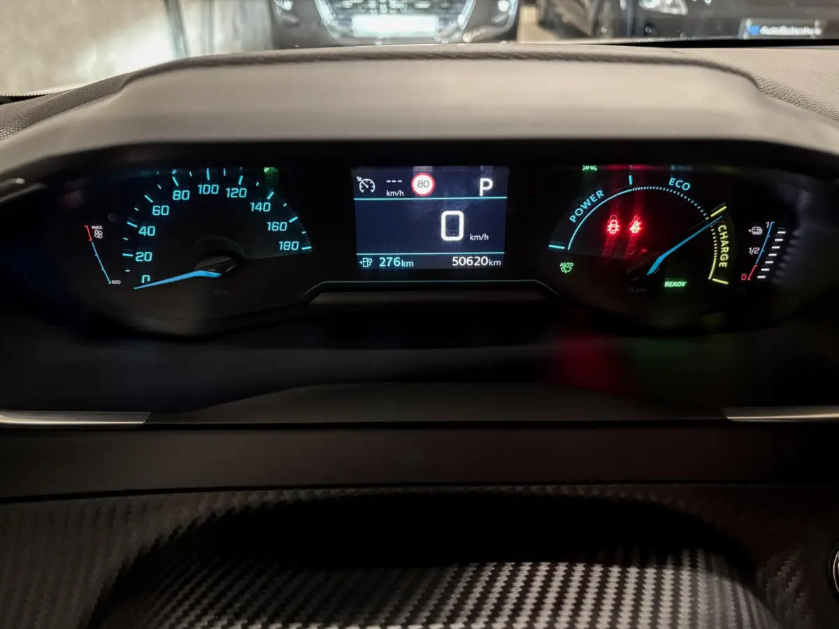 EV Active Pack 50 kWh|1e EIGENAAR|92% SOH|CLIMATE|PDC|CRUISE|CARPLAY|NAVI