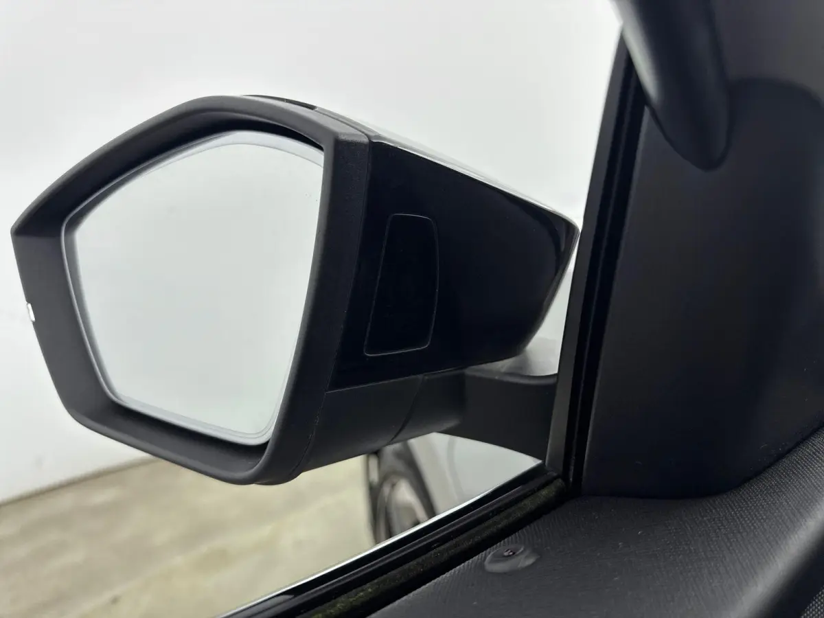 1.4 TSI RS iV PHEV Business Panoramadak | Canton Audio |