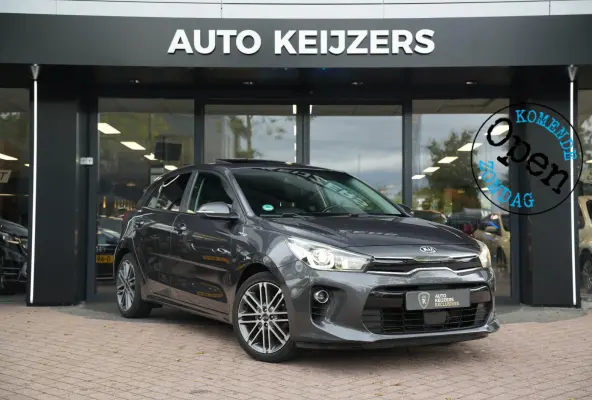 1.0 TGDI Platinum Edition Schuifdak Leer Cruise Clima Lane Assist 17''LM