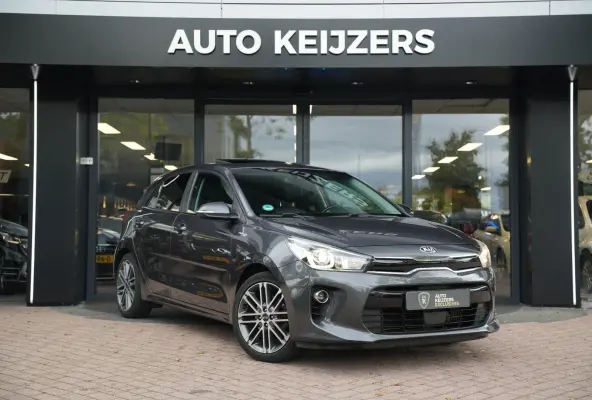 1.0 TGDI Platinum Edition Schuifdak Leer Cruise Clima Lane Assist 17''LM