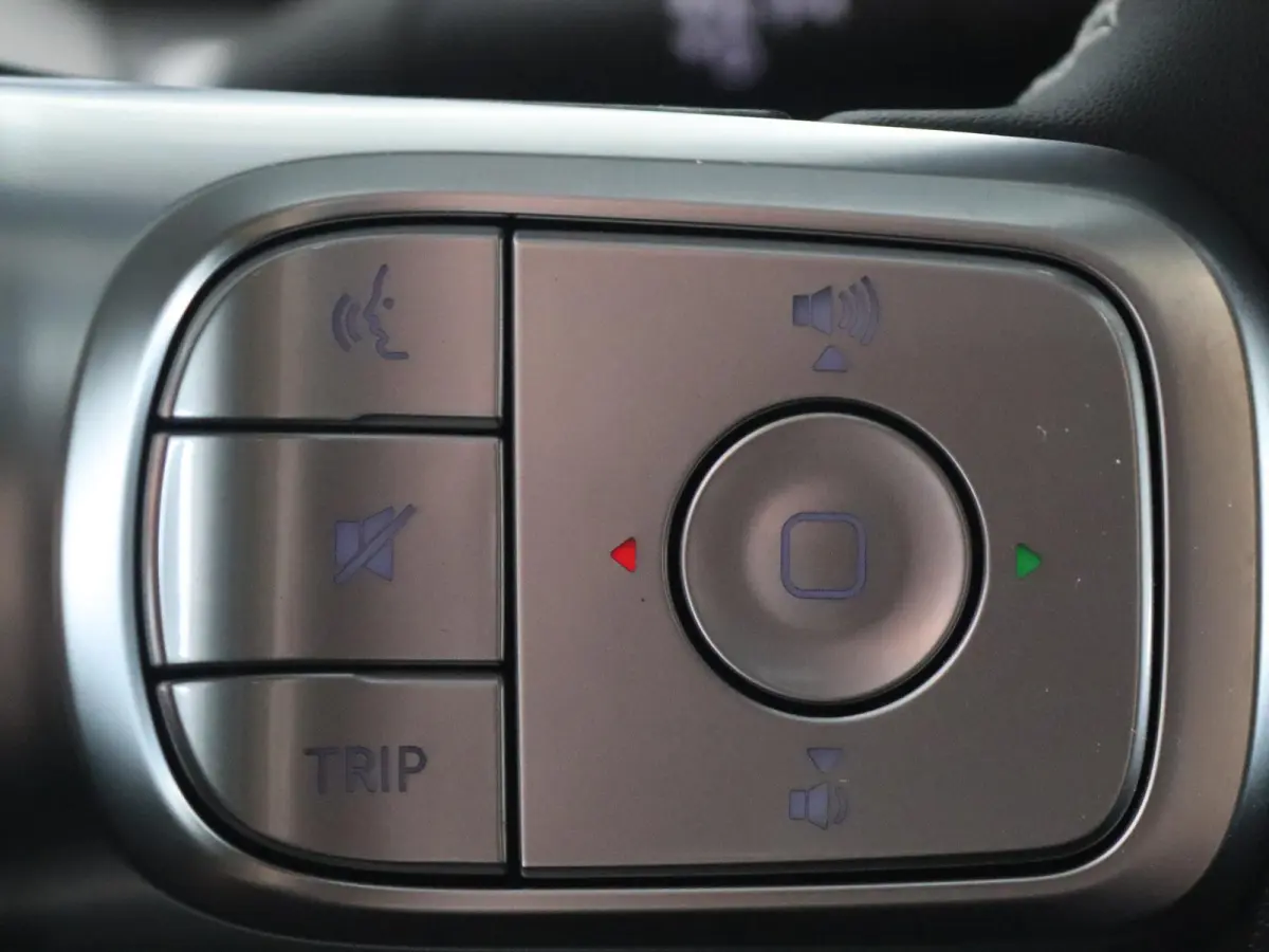 Premium 66 kWh | Warmtepomp | 22 KW laden | Panoramadak | Head-Up Display | Drive Pilot |