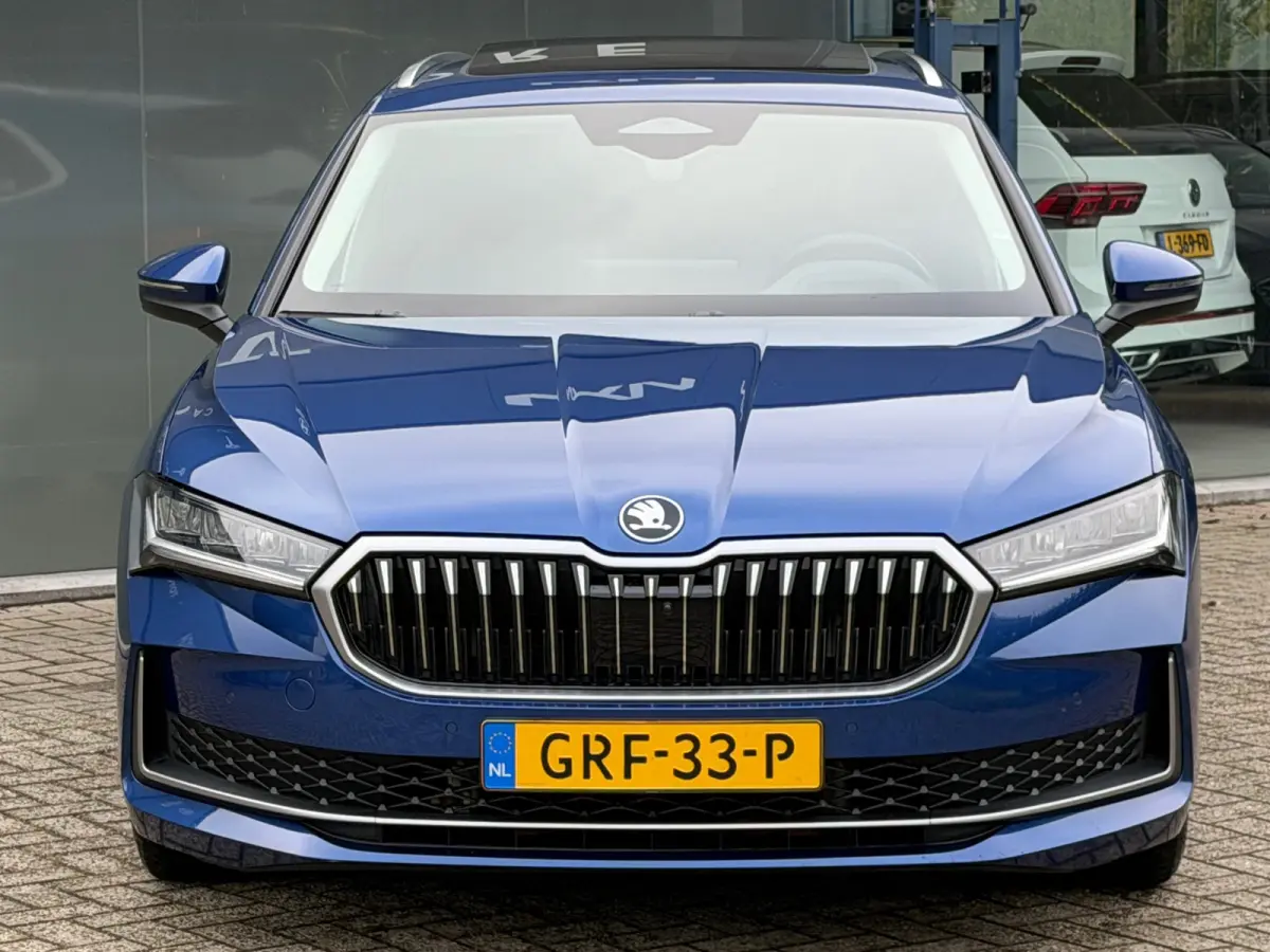 1.5 TSI PHEV BNS Head-up display/Pano/Trekhaak
