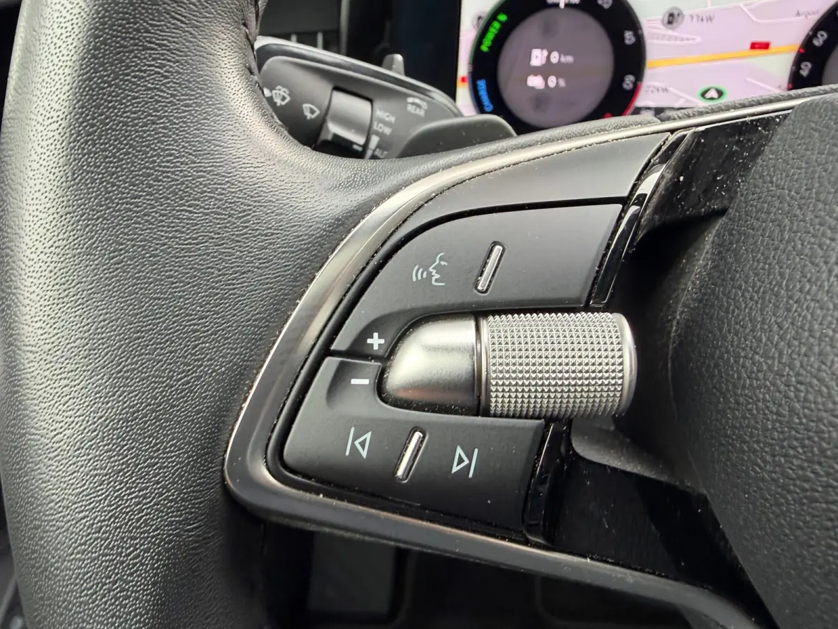 1.5 TSI PHEV BNS Head-up display/Pano/Trekhaak