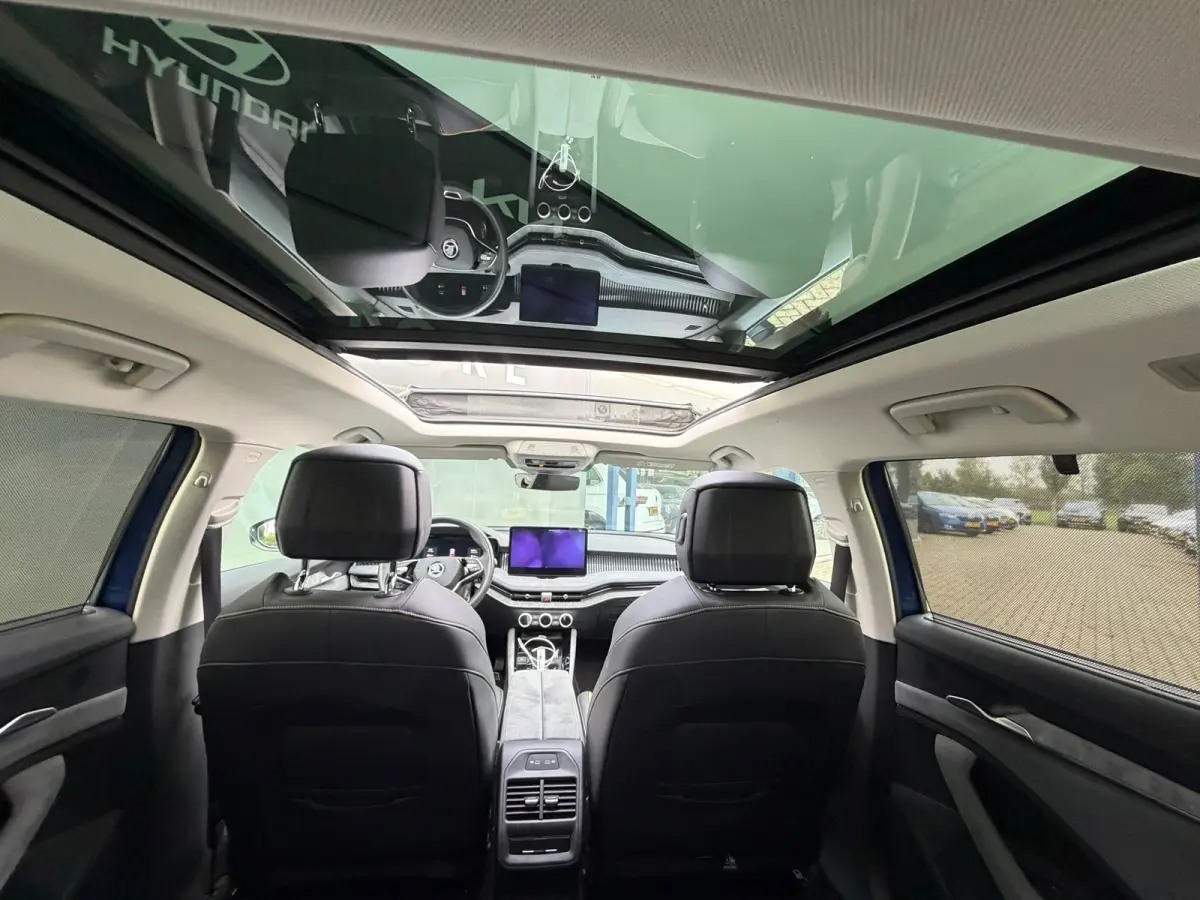 1.5 TSI PHEV BNS Head-up display/Pano/Trekhaak