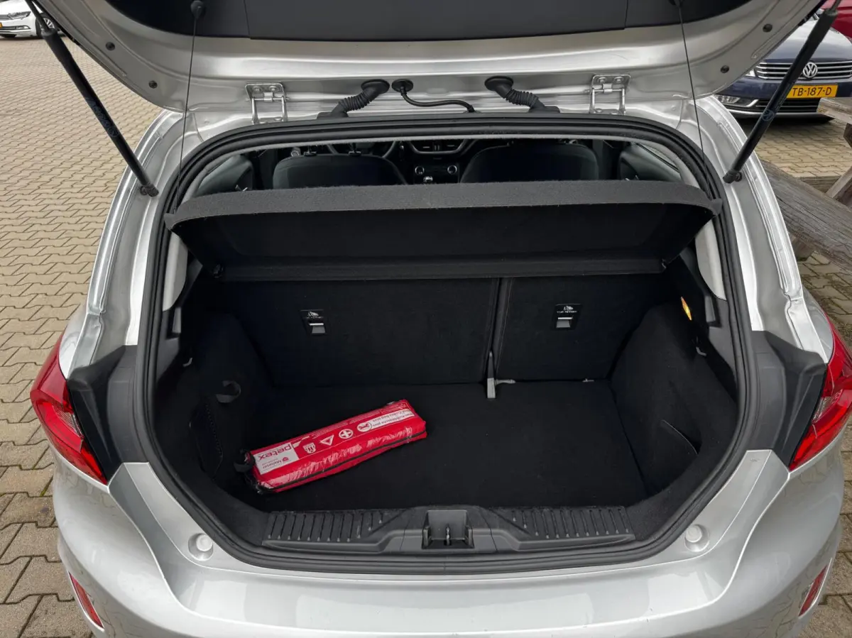 1.0 EcoBoost Connected 5d