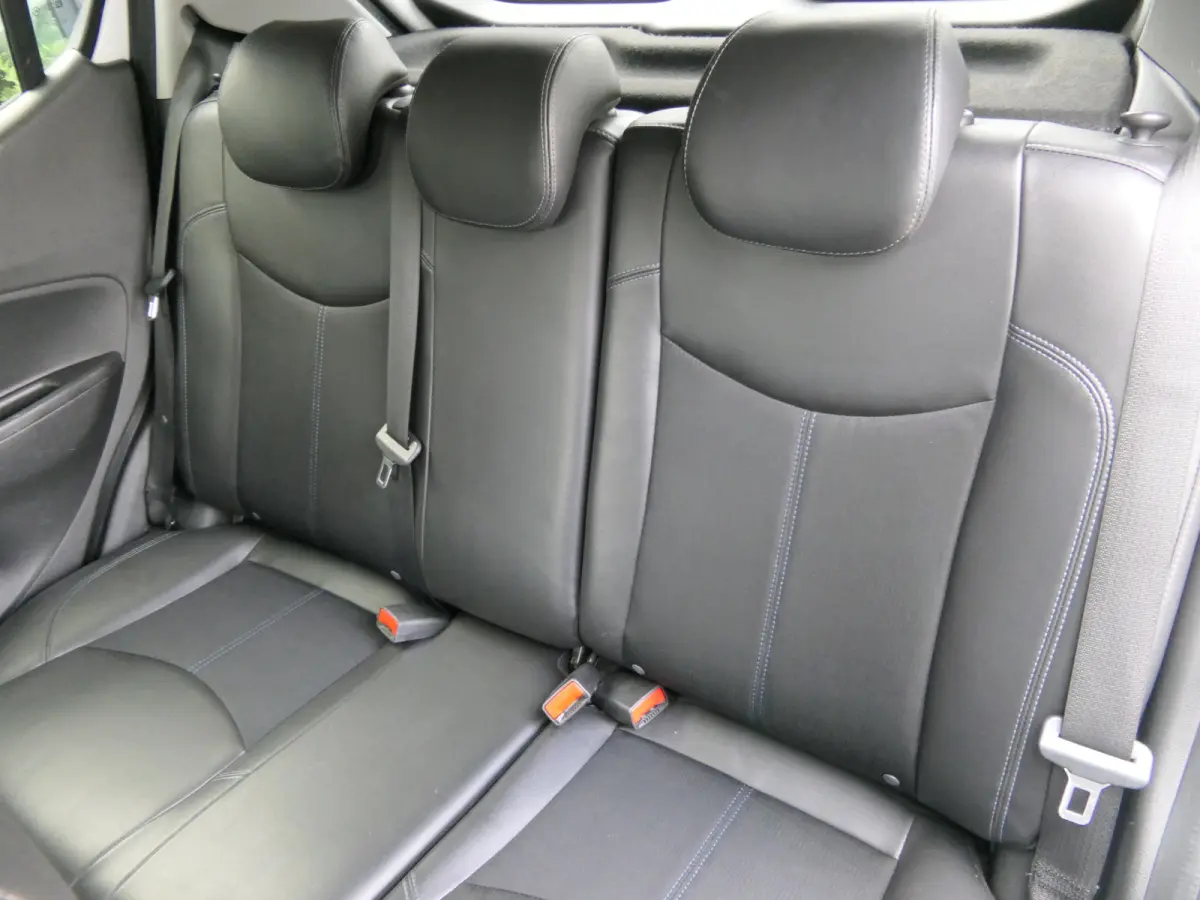 1.0 ecoFLEX Innovation | 2e eigenaar | Privacy Glass