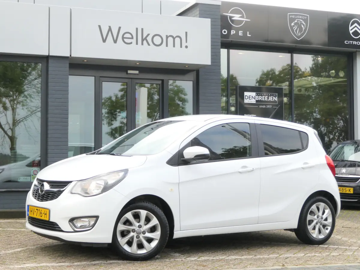 1.0 ecoFLEX Innovation | 2e eigenaar | Privacy Glass