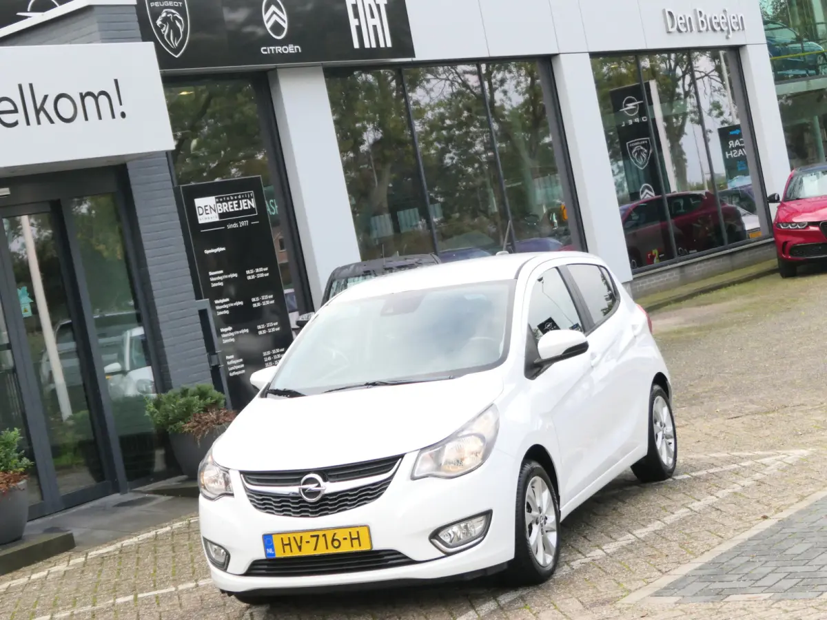1.0 ecoFLEX Innovation | 2e eigenaar | Privacy Glass
