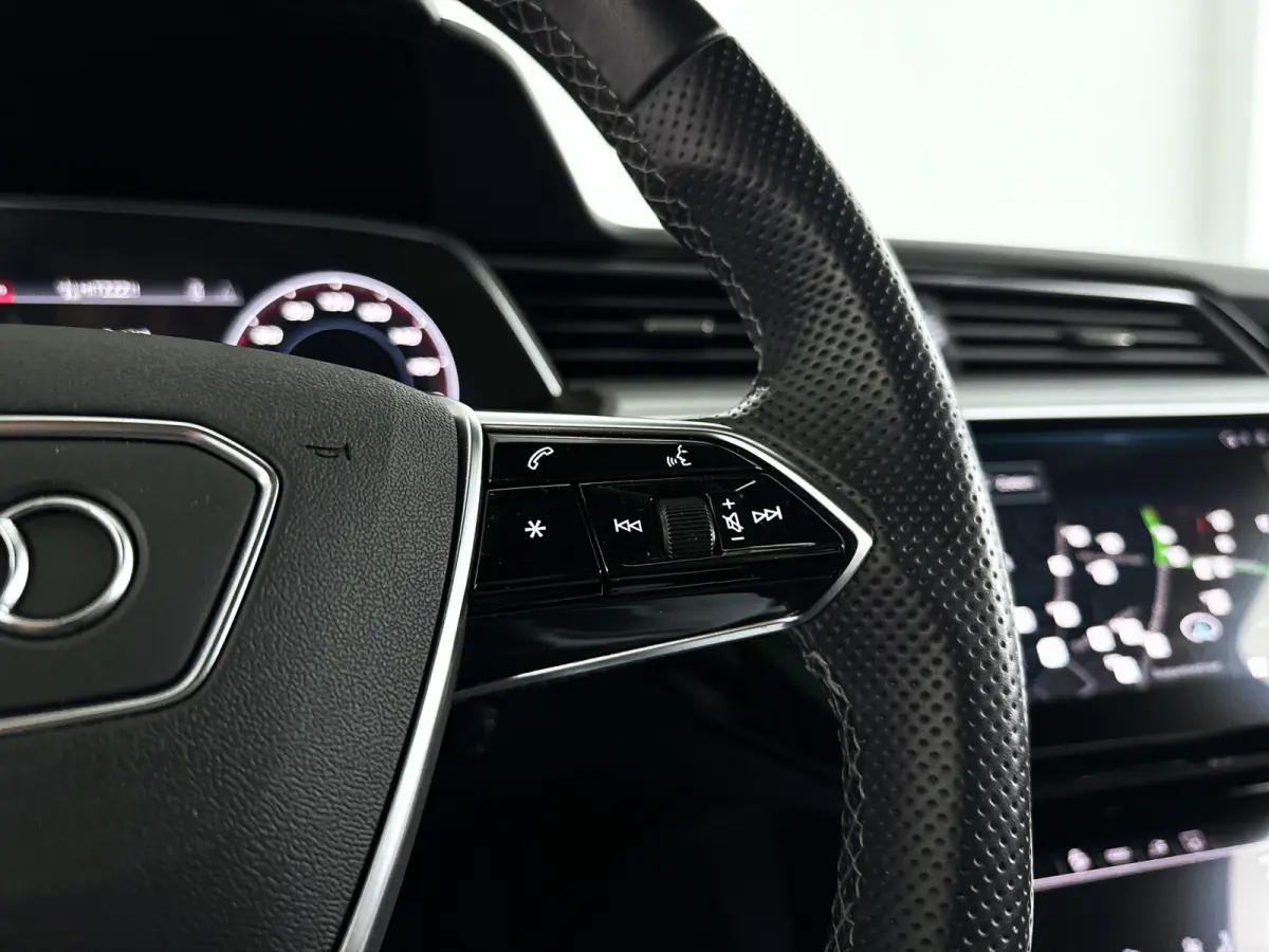 55 quattro S edition 95 kWh | SOH 87% | 360° camera | Bang & Olufsen Premium | Matrix led | Stoelverwarming
