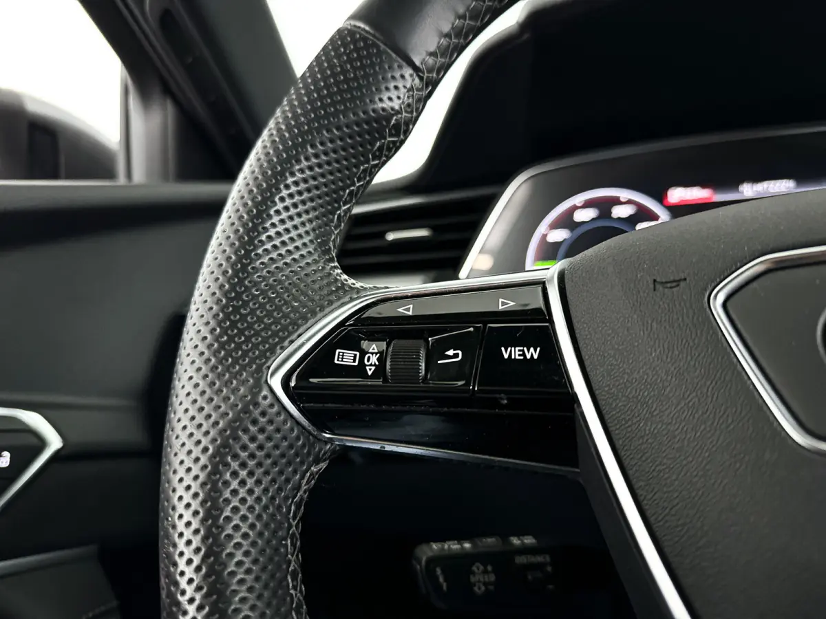 55 quattro S edition 95 kWh | SOH 87% | 360° camera | Bang & Olufsen Premium | Matrix led | Stoelverwarming