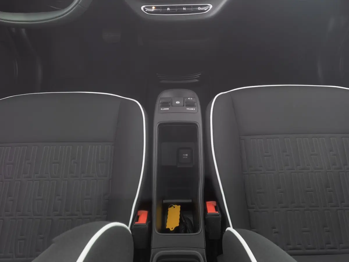 Icon 42 kWh *SOH: 95,3%* VELGEN | ECC | NAVI !