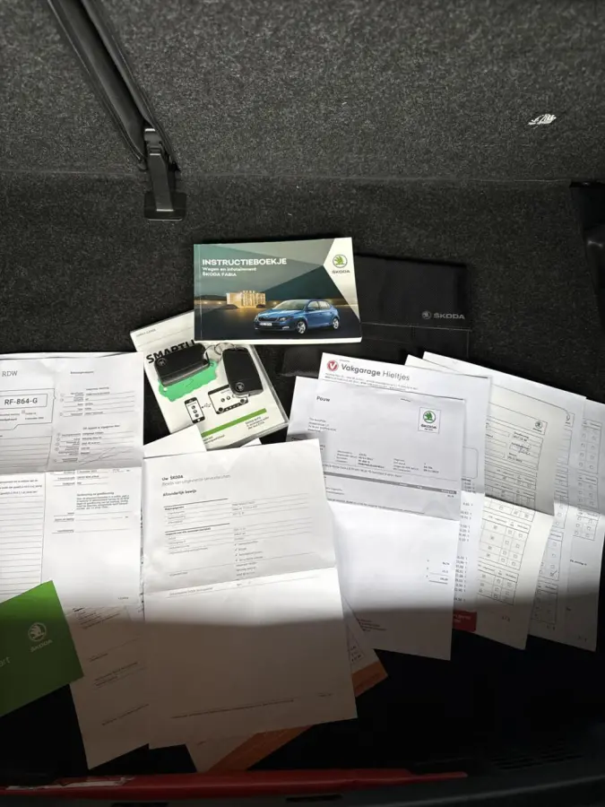 1.0 TSI Monte Carlo |PANO|2e EIG|AIRCO|VOL ONDER