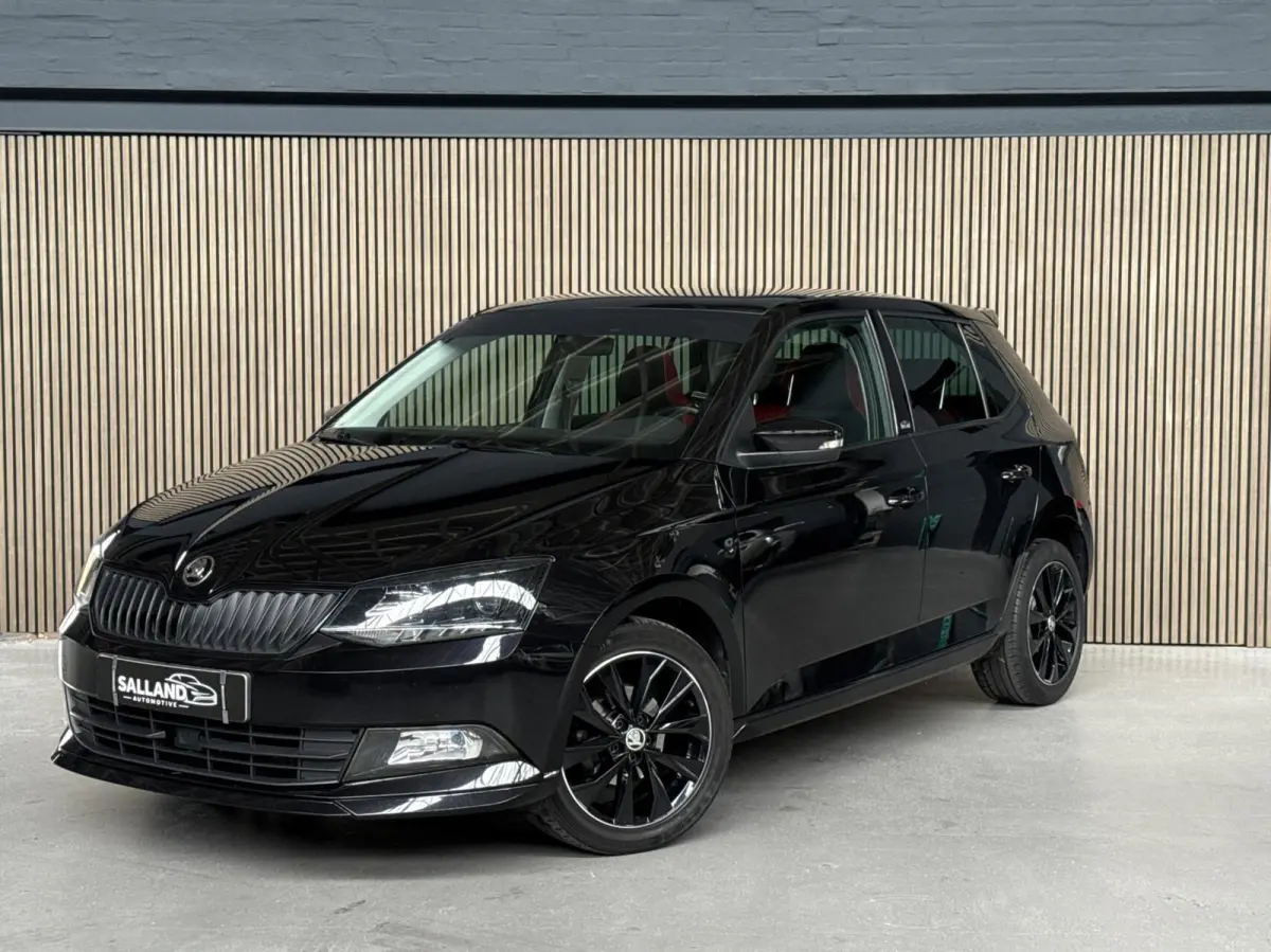 1.0 TSI Monte Carlo |PANO|2e EIG|AIRCO|VOL ONDER