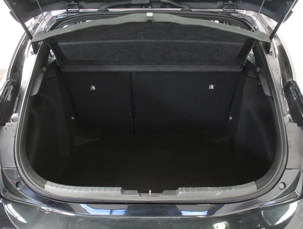 Hybrid 140 Active CARPLAY | ADAPCRUISE | CAMERA | LED | LMV16 | NAVI | DAB | CLIMATE