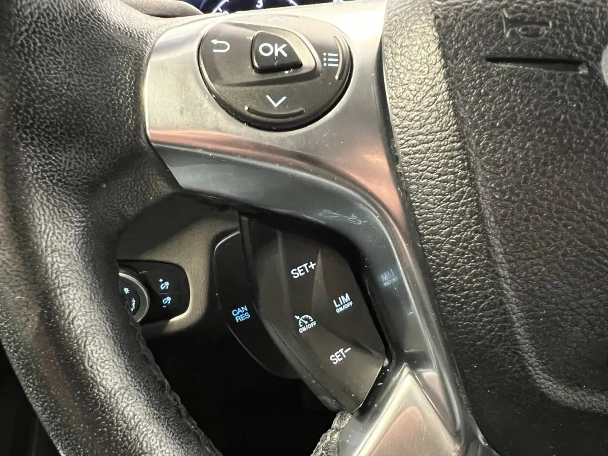 1.5 EcoBlue L2 Sport Trekhaak | LM Velgen 17" | Cruise Control | Voorstoelen Verwarmd | Voorruit Verwarmd | Airco | PDC Achter |