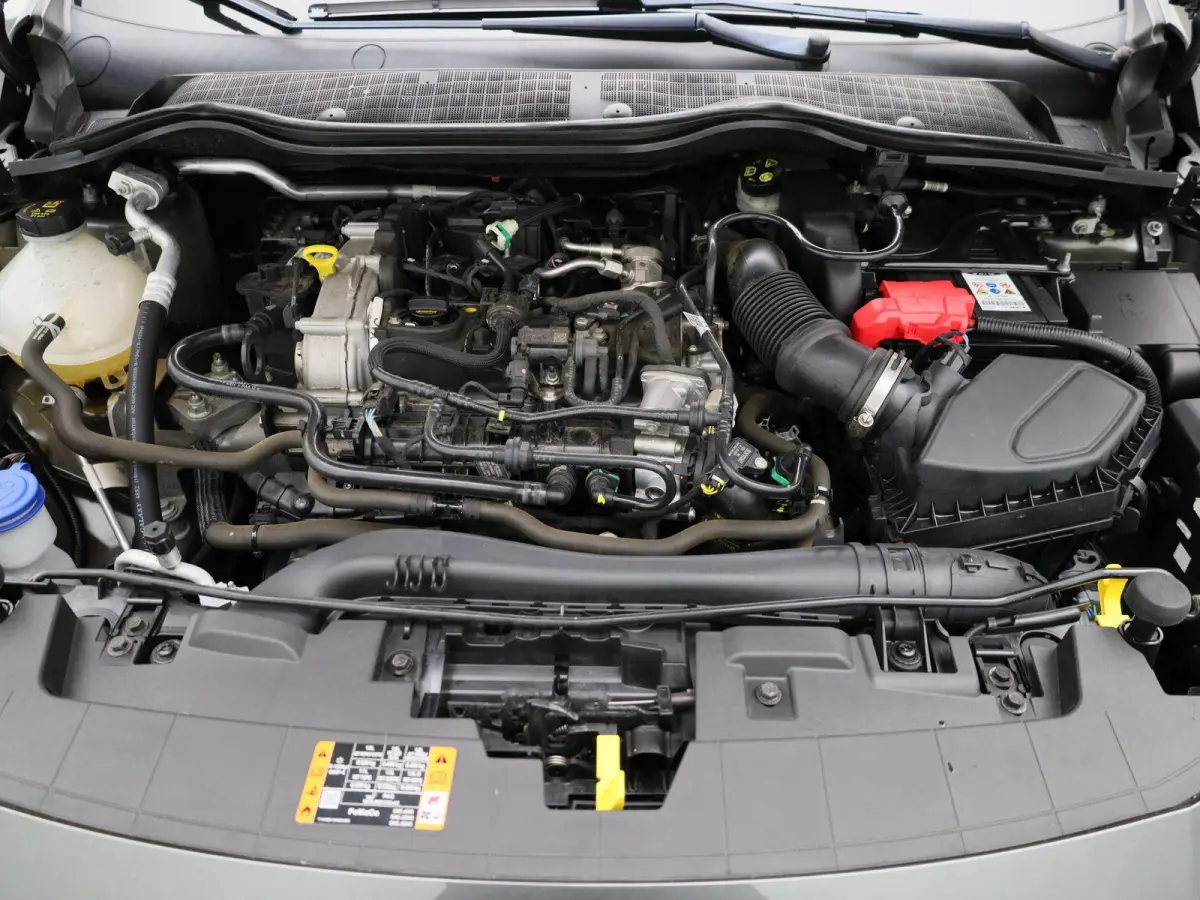 1.0 EcoBoost Hybrid ST-Line | WORDT VERWACHT | ACHTERUITRIJCAMERA | CLIMATE CONTROL | LED | CRUISE CONTROL | APPLE CARPLAY - ANDROID AUTO | KEYLESS START |