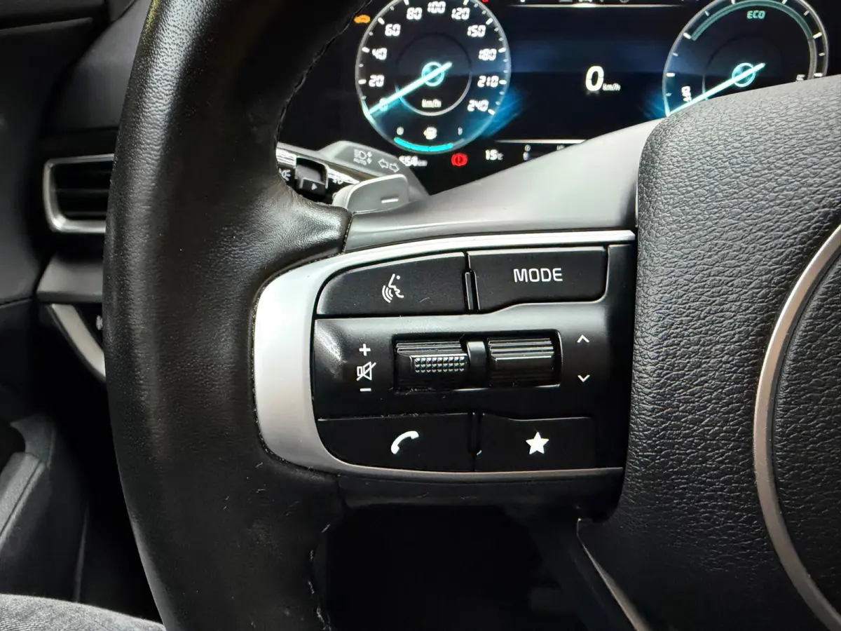 1.6 T-GDi MHEV DynamicLine PDC Camera Clima Navi 18"LM