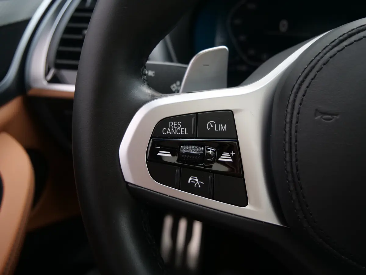 xDrive30e eDrive Edition Automaat Panoramadak / Electrische Trekhaak /  Electrische koffer