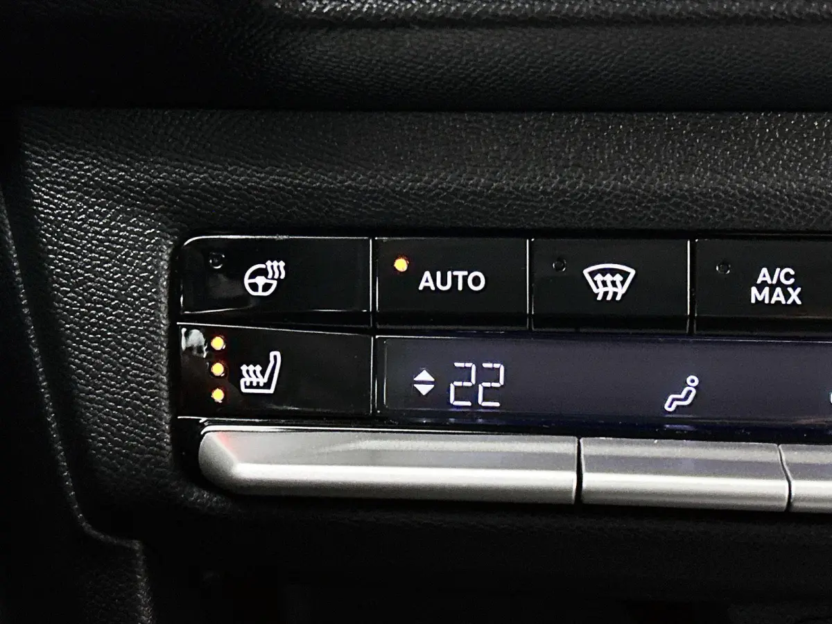 113pk GS 44 kWh Automaat | Tot 8 Jaar Garantie | Winter-Pakket | Dakrails | Navigatie | Climate Control | Cruise Control | Camera | 17"LMV | Dodehoekdetectie |