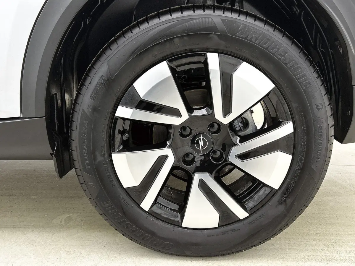 113pk GS 44 kWh Automaat | Tot 8 Jaar Garantie | Winter-Pakket | Dakrails | Navigatie | Climate Control | Cruise Control | Camera | 17"LMV | Dodehoekdetectie |