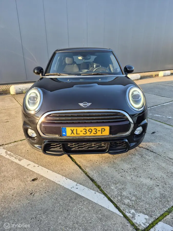 1.5 Cooper JCW Pakket / NAP / Dealer onderhouden