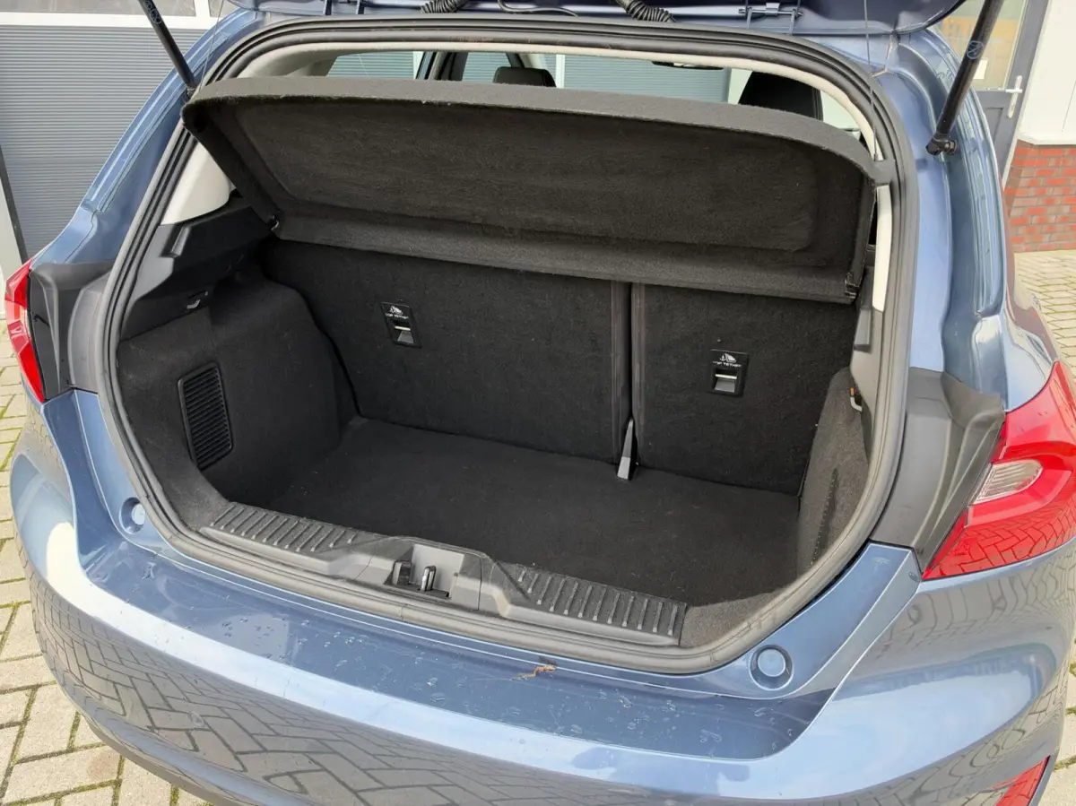 1.0 EcoBoost Titanium | LED | CarPlay | Navigatie | Cruise | Climate | Lichtmetaal | Sensoren