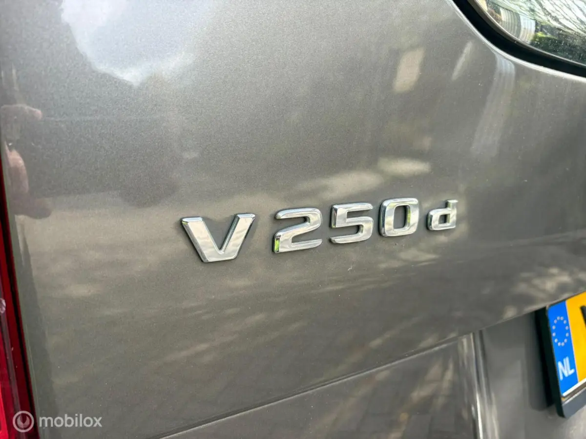 250d Lang Avantgarde