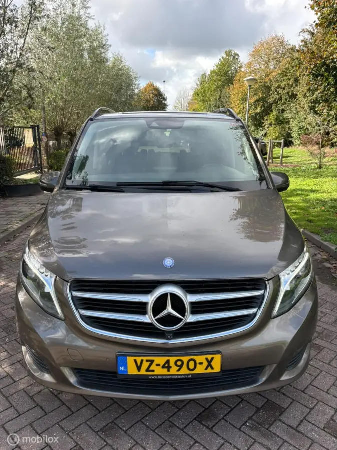 250d Lang Avantgarde