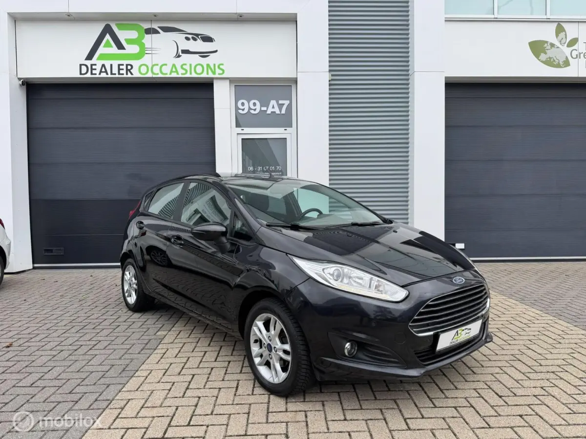 1.0 EcoBoost Titanium 5DRS, Airco,St verw,Nw APK