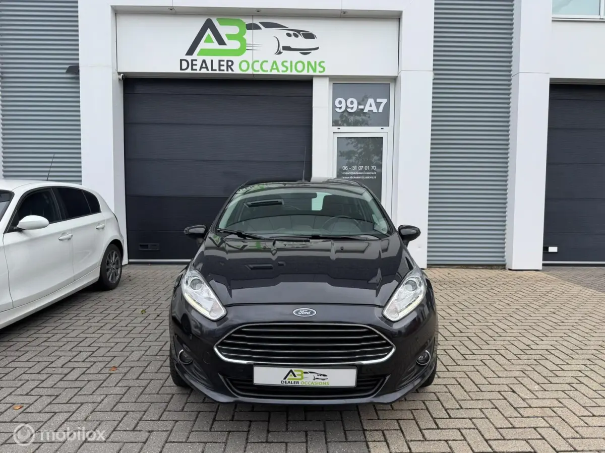 1.0 EcoBoost Titanium 5DRS, Airco,St verw,Nw APK