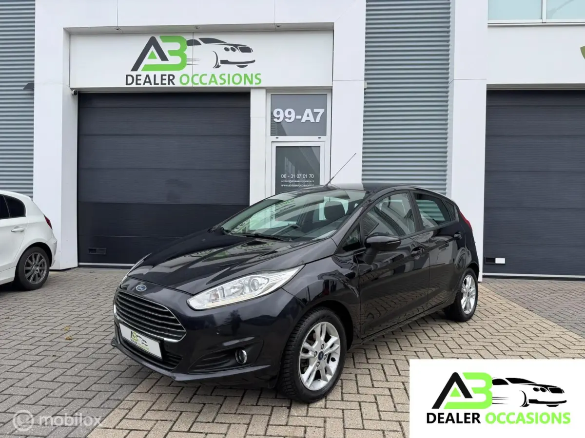 1.0 EcoBoost Titanium 5DRS, Airco,St verw,Nw APK