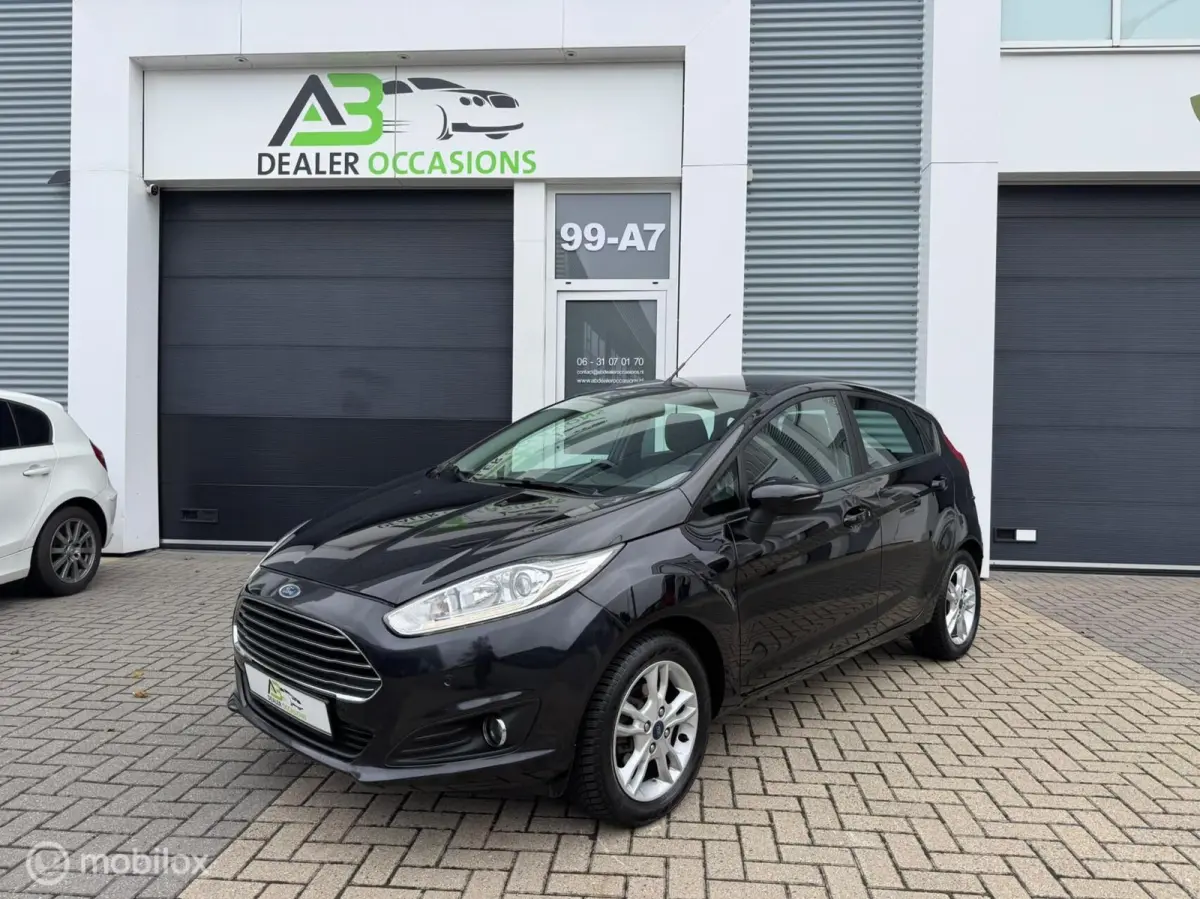 1.0 EcoBoost Titanium 5DRS, Airco,St verw,Nw APK