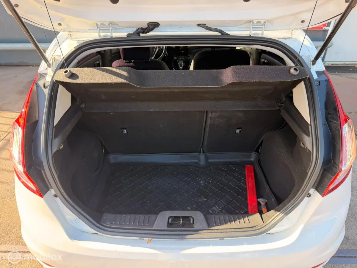 1.0 EcoBoost Titanium Automaat