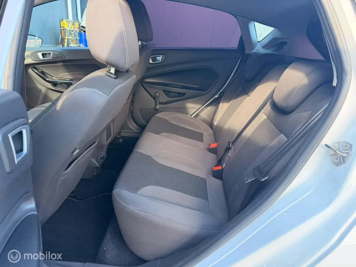 1.0 EcoBoost Titanium Automaat