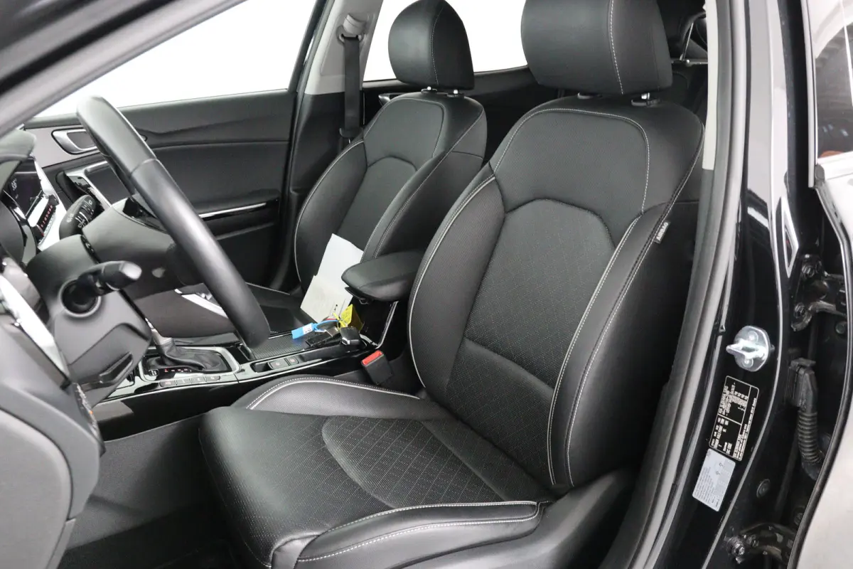 1.6 GDi PHEV ExecutiveLine | Achteruitrijcamera | Apple Carplay/Android Auto|telefoonintegratie premium | Audio installatie