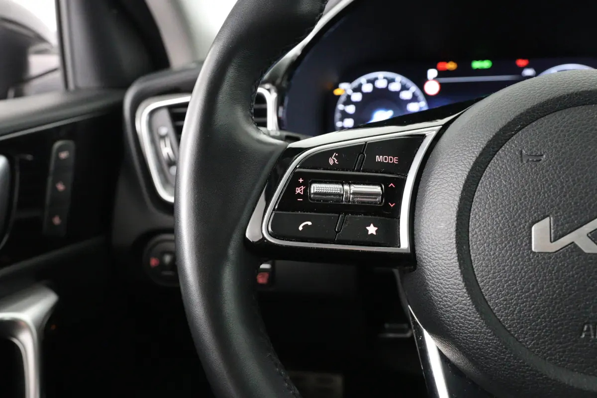 1.6 GDi PHEV ExecutiveLine | Achteruitrijcamera | Apple Carplay/Android Auto|telefoonintegratie premium | Audio installatie