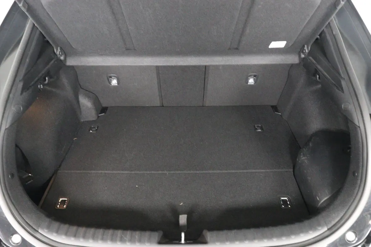 1.6 GDi PHEV ExecutiveLine | Achteruitrijcamera | Apple Carplay/Android Auto|telefoonintegratie premium | Audio installatie