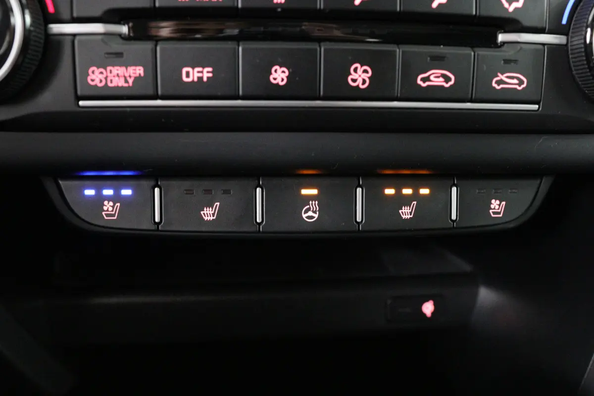 1.6 GDi PHEV ExecutiveLine | Achteruitrijcamera | Apple Carplay/Android Auto|telefoonintegratie premium | Audio installatie