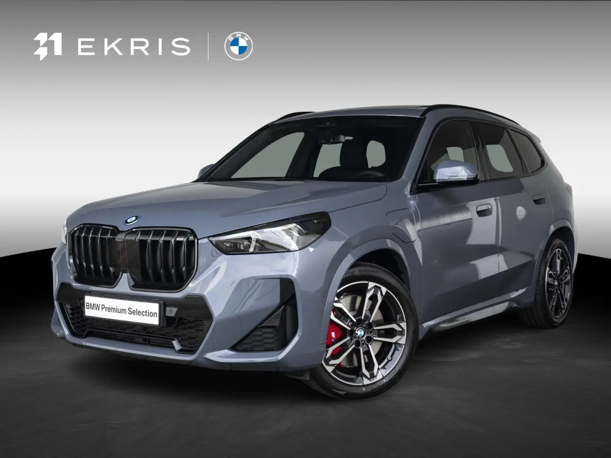 xDrive25e | M Sportpakket Pro | Comfort Access | Panoramadak | Driving Assistant Plus | 19 inch | Trekhaak