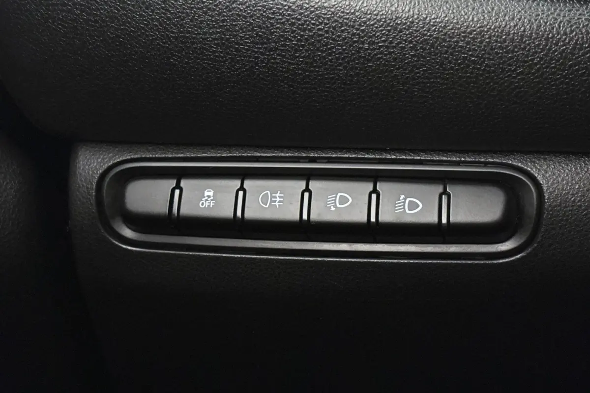 Icon 42 kWh LED Camera Keyless Apple CarPlay