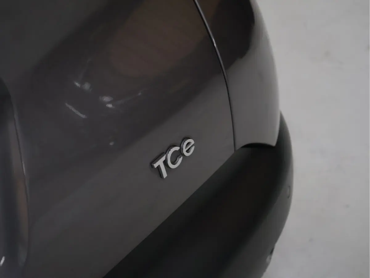 1.2 TCe Dynamique [CAMERA, HALF LEDER, PDC ACHTER, CRUISE CONTROL, BLUETOOTH, CLIMATE CONTROL, NAVIGATIE, NIEUWSTAAT]