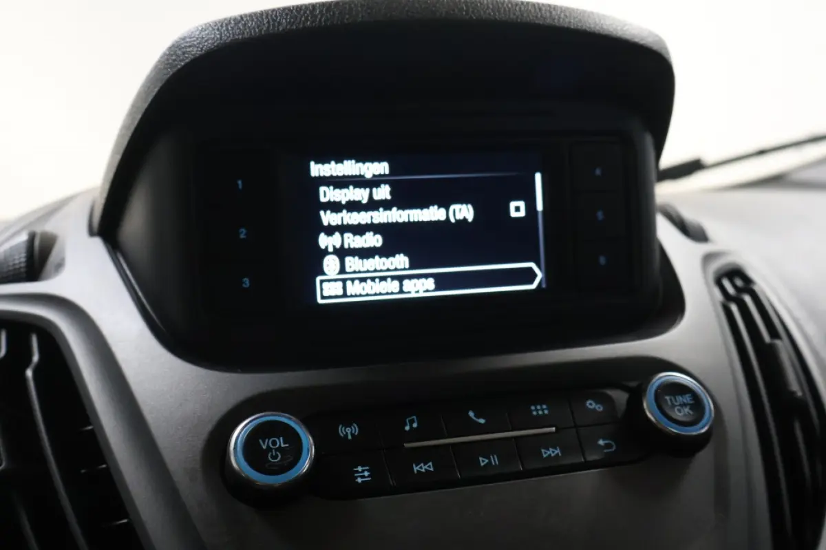 1.0 Trend EcoBoost