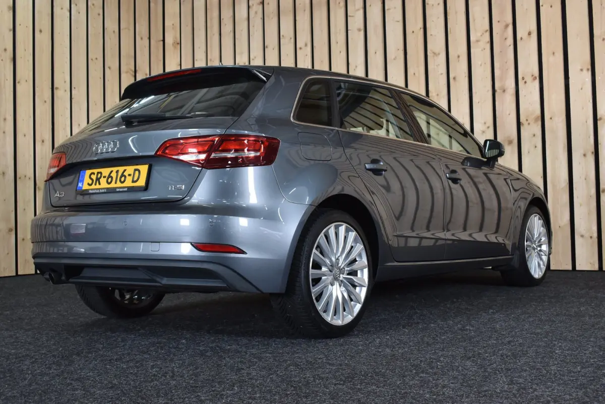 1.0 TFSI Sport Lease Edition 146dkm Carplay ACC 18"4S Bi-xenon Clima Stoelverw. + Nwe APK