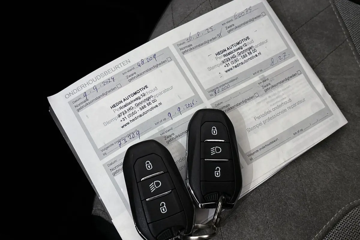 EV GT Pack 50 kWh Stoelverwarming Keyless Camera