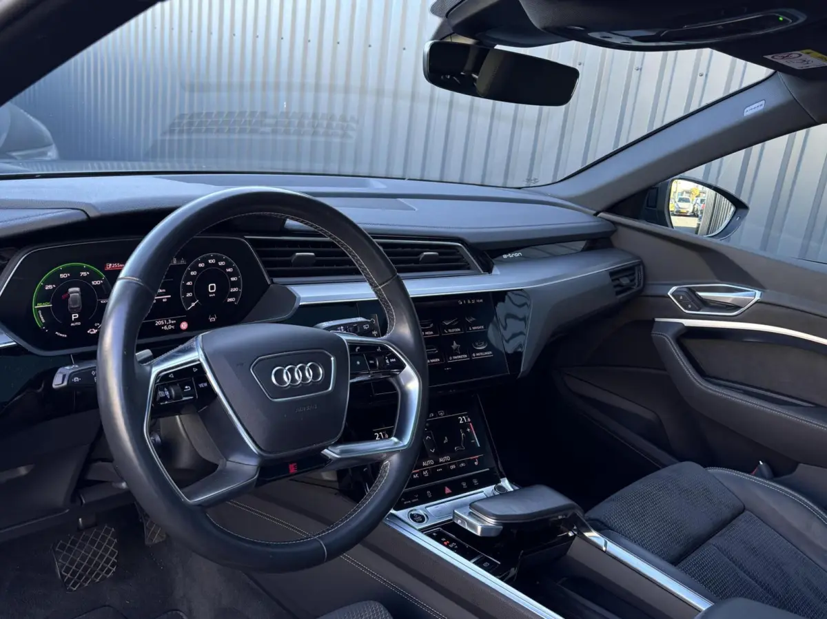 55 quattro S edition 95kWh pano camera trekhaak