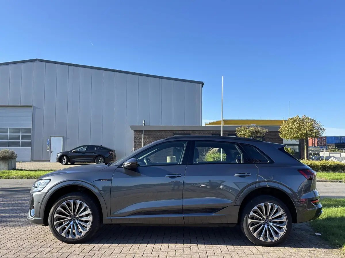 55 quattro S edition 95kWh pano camera trekhaak