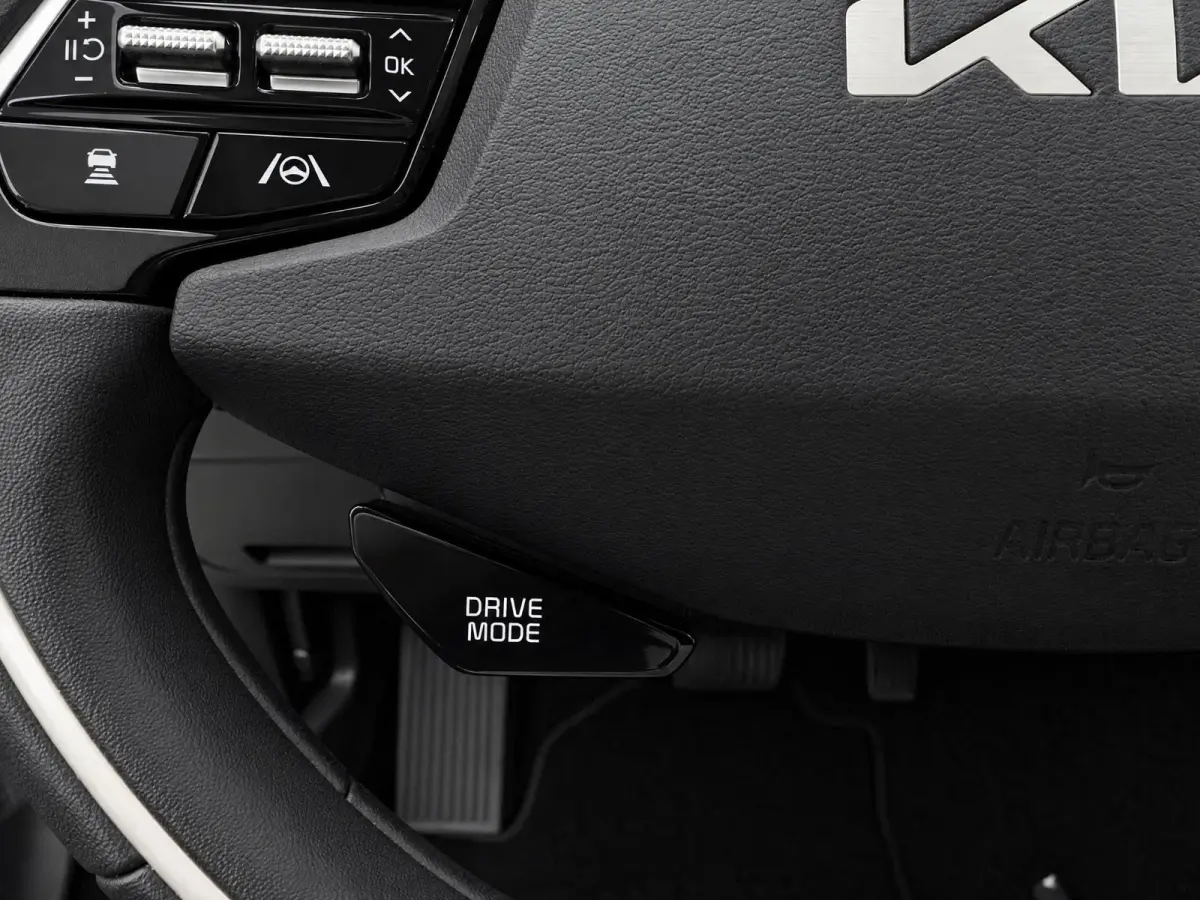 DynamicLine 64.8 kWh 100% SOH | Navigatie | Climate control | ACC | Achteruitrijcamera |