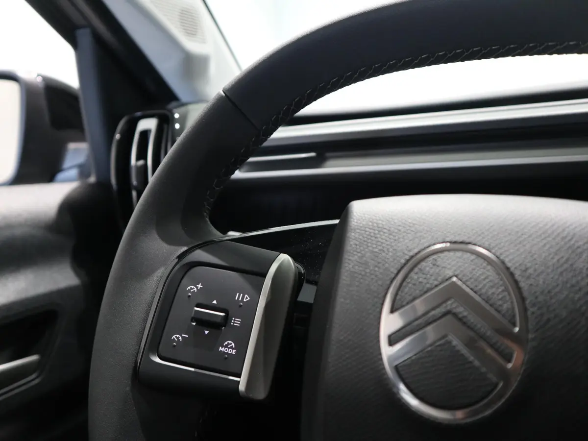 Max 113pk 44 kWh - CAMERA - NAVIGATIE - APPLE CARPLAY/ANDROID AUTO