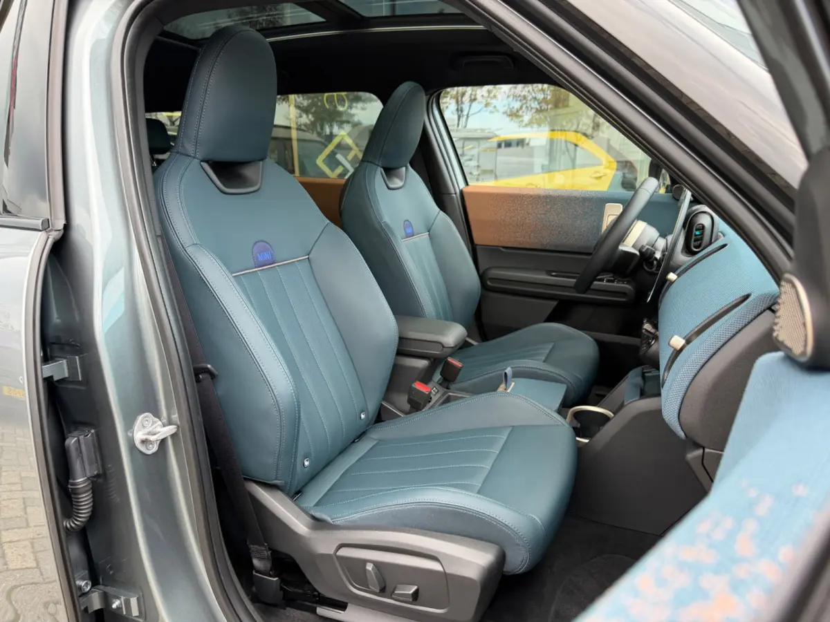 SE ALL4 Favoured XL 66.5 kWh, 20 inch, Trekhaak, FULL OPTIONS!